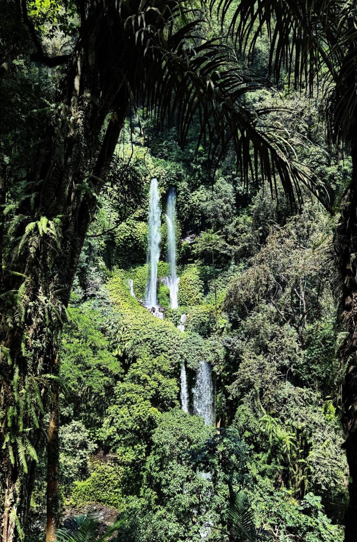 Pondok Senaru Cottages エクステリア 写真