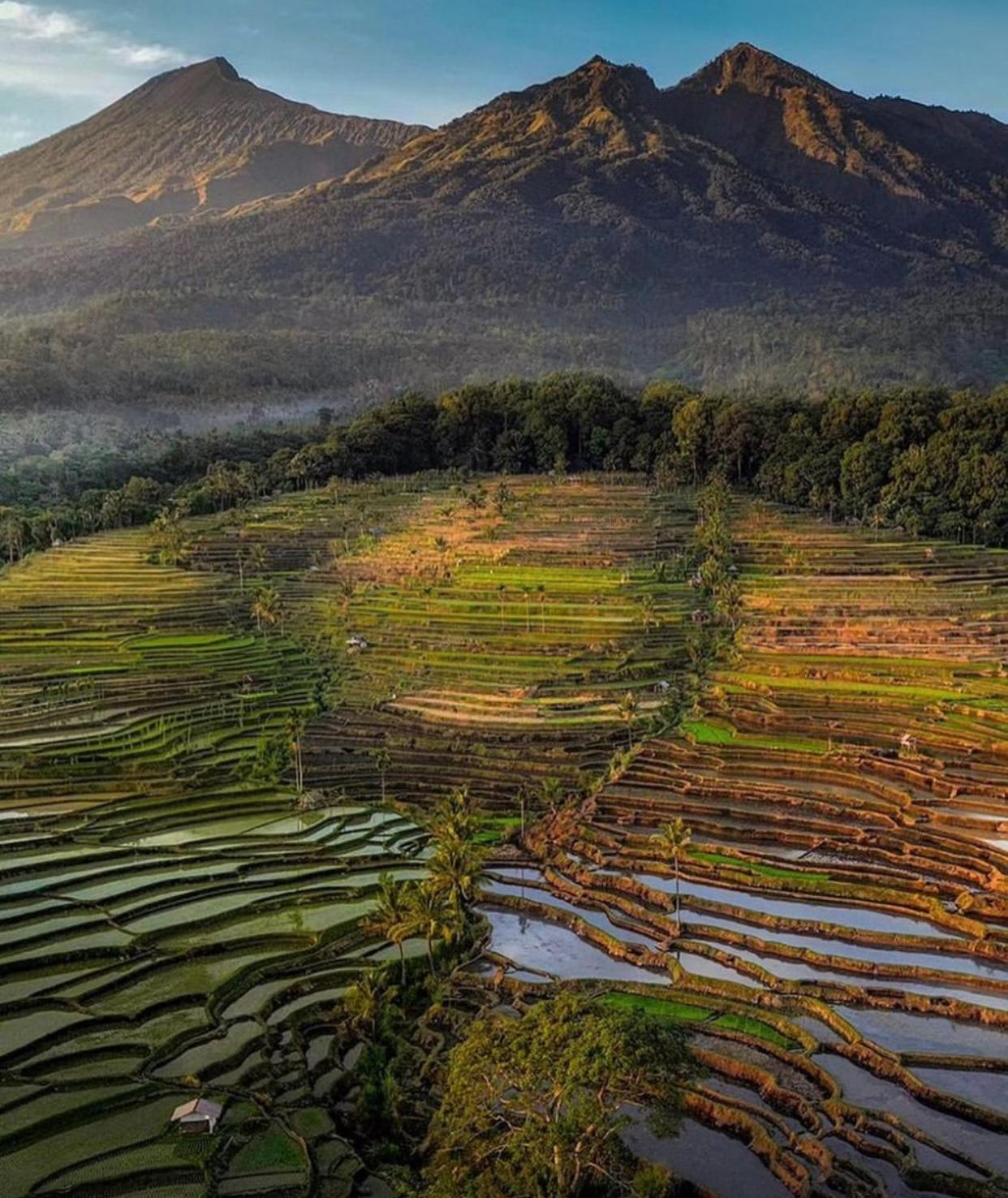 Pondok Senaru Cottages エクステリア 写真